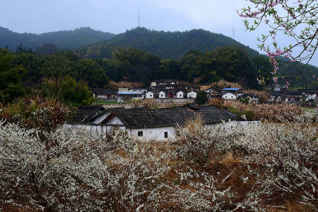 唯美家乡g