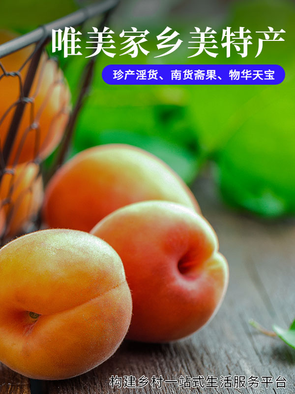 唯美家乡-美特产8-2.jpg