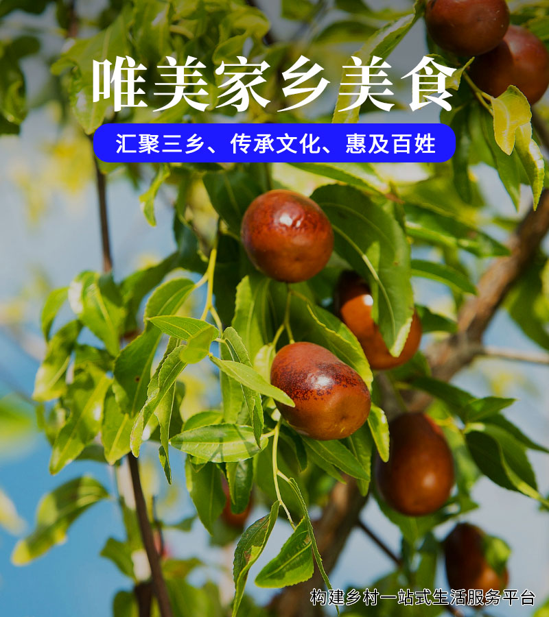 唯美家乡美食6-1.jpg